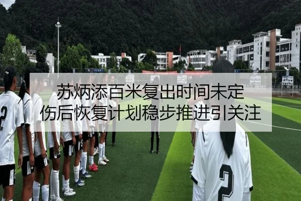 苏炳添百米复出时间未定 伤后恢复计划稳步推进引关注